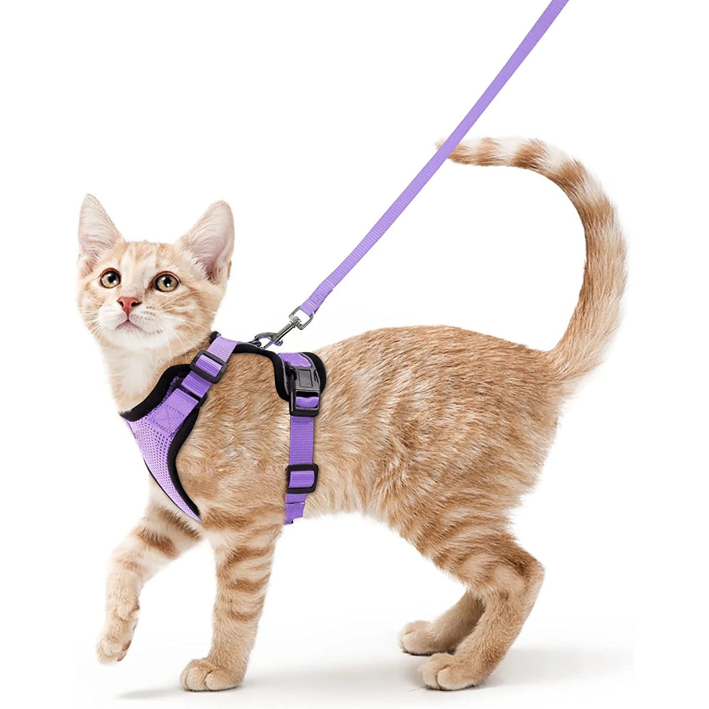 Cat Harness and Leash for Walking and Easy Control