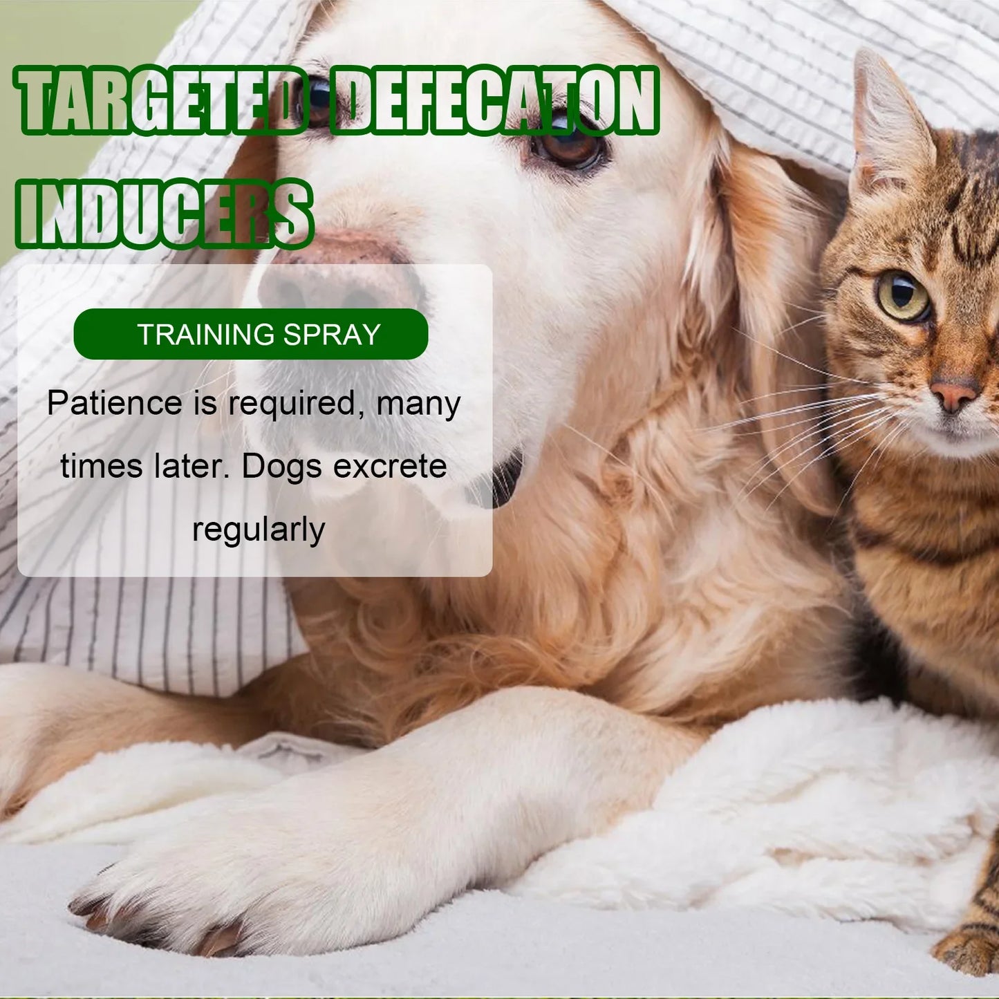 Pet Toilet Training Spray - Potty Inducing-Positioning