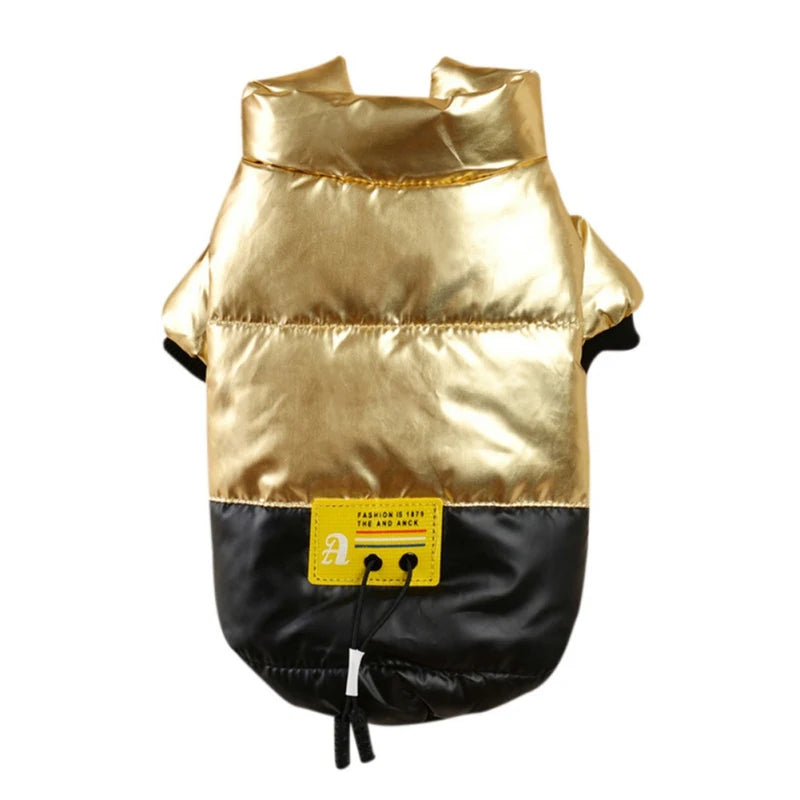 Warm Winter Coat for your Dog
