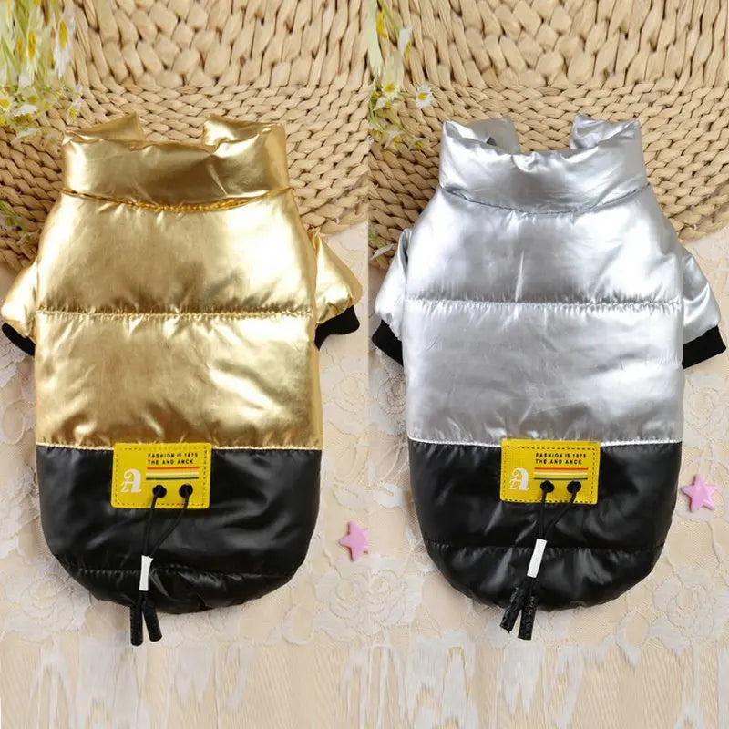 Warm Winter Coat for your Dog