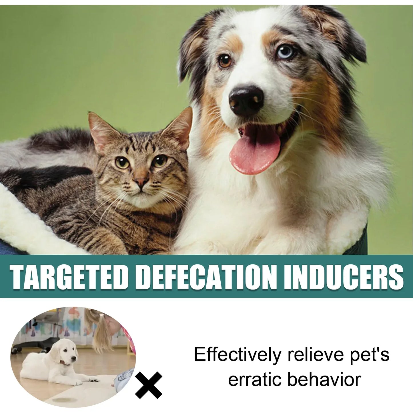 Pet Toilet Training Spray - Potty Inducing-Positioning