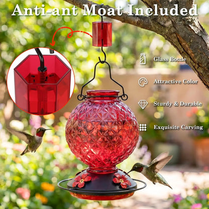 Hummingbird Feeder for Outdoors, 25 OZ Glass, Leak Proof.