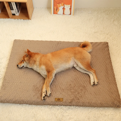 Foam Orthopedic Pet Bed With Washable Cover