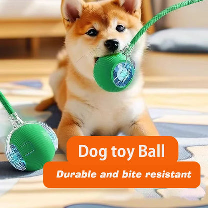 Interactive, Rechargeable, Ball Toy For Dogs & Cats