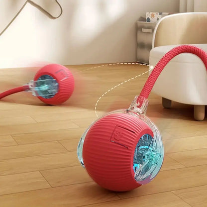 Cat Interactive Rolling Ball Toy, Rechargeable