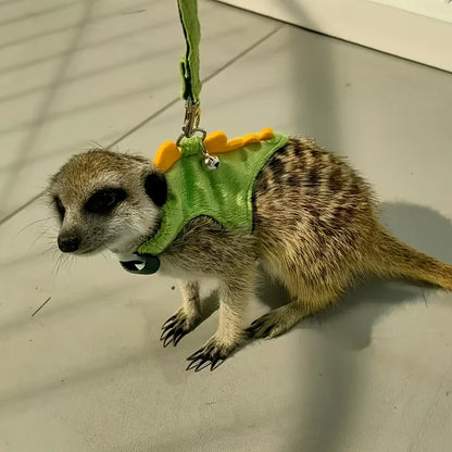 Ferret Walking-Harness and Leash, Dinosaur Design.