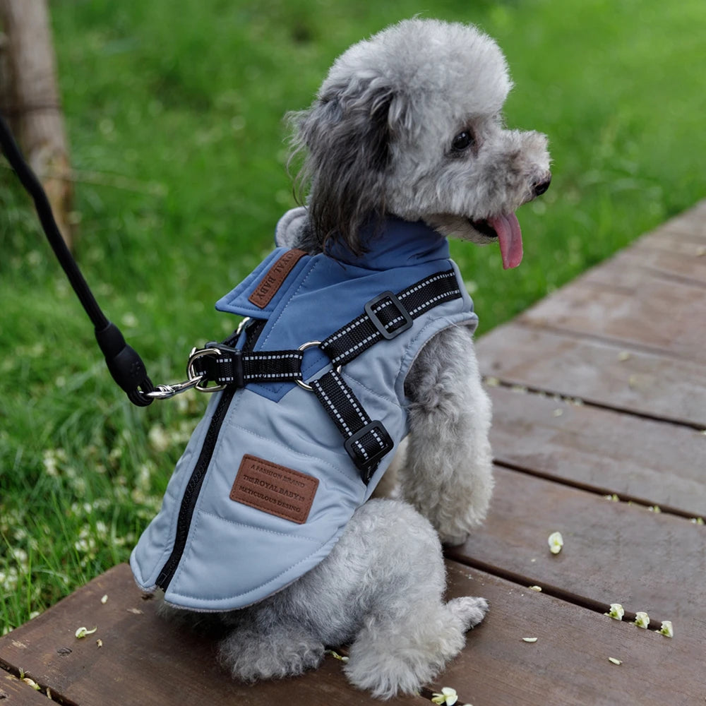 Winter Pet/Dog Jacket With Harness