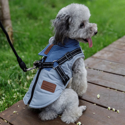 Winter Pet/Dog Jacket With Harness