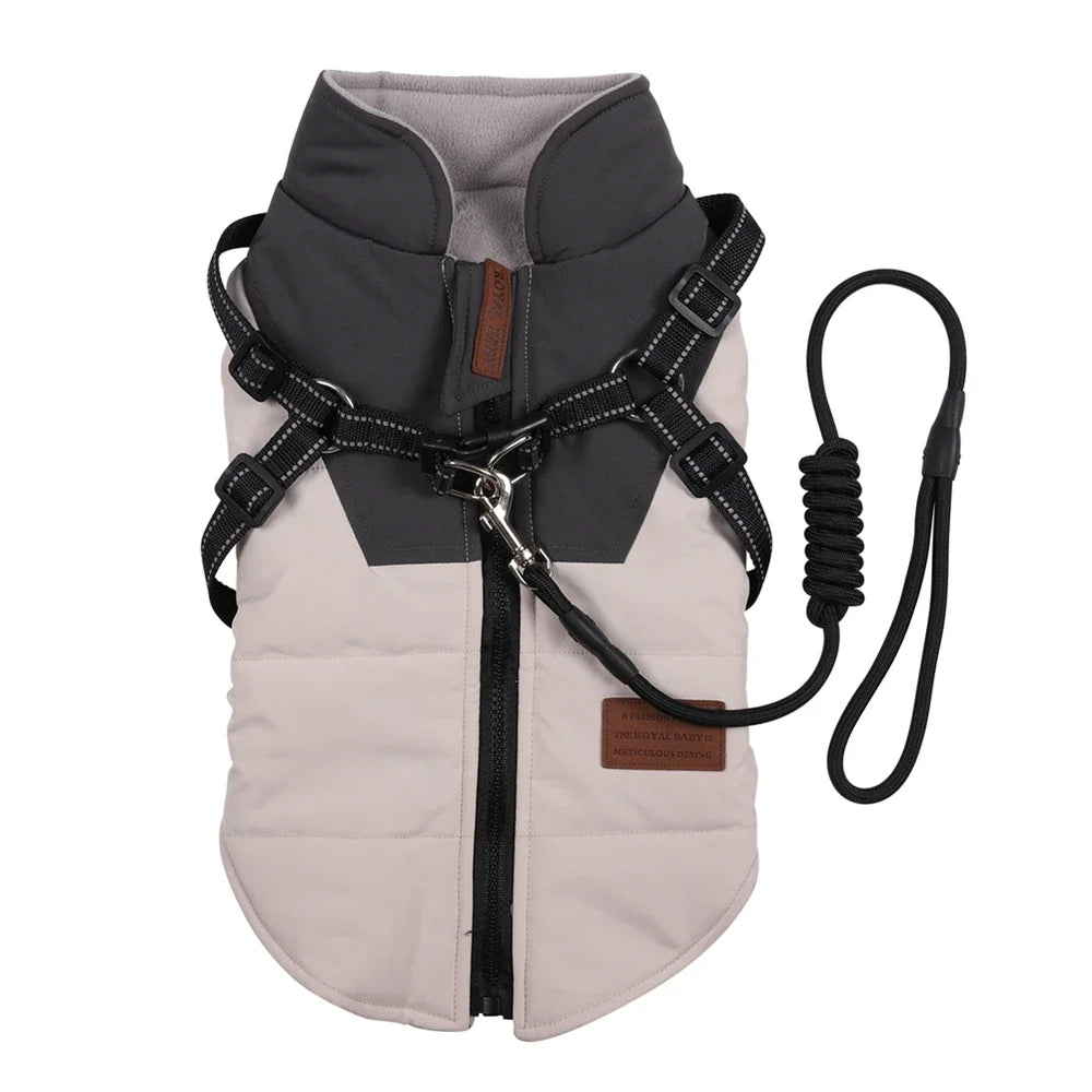 Winter Pet/Dog Jacket With Harness