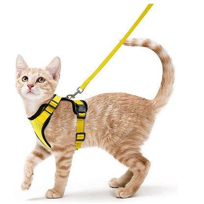 Cat Harness and Leash for Walking and Easy Control