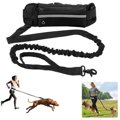 75Inch, Hands Free, Reflective Dog Leash With Waist Pack.