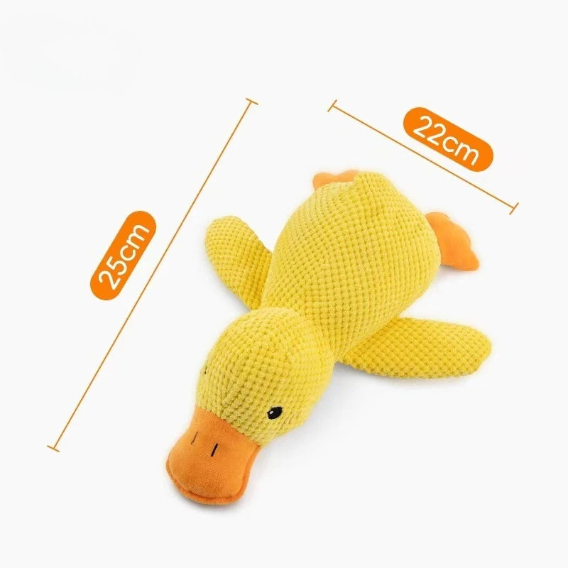 Dog Squeak Toys for Moderately Aggressive Chewers.
