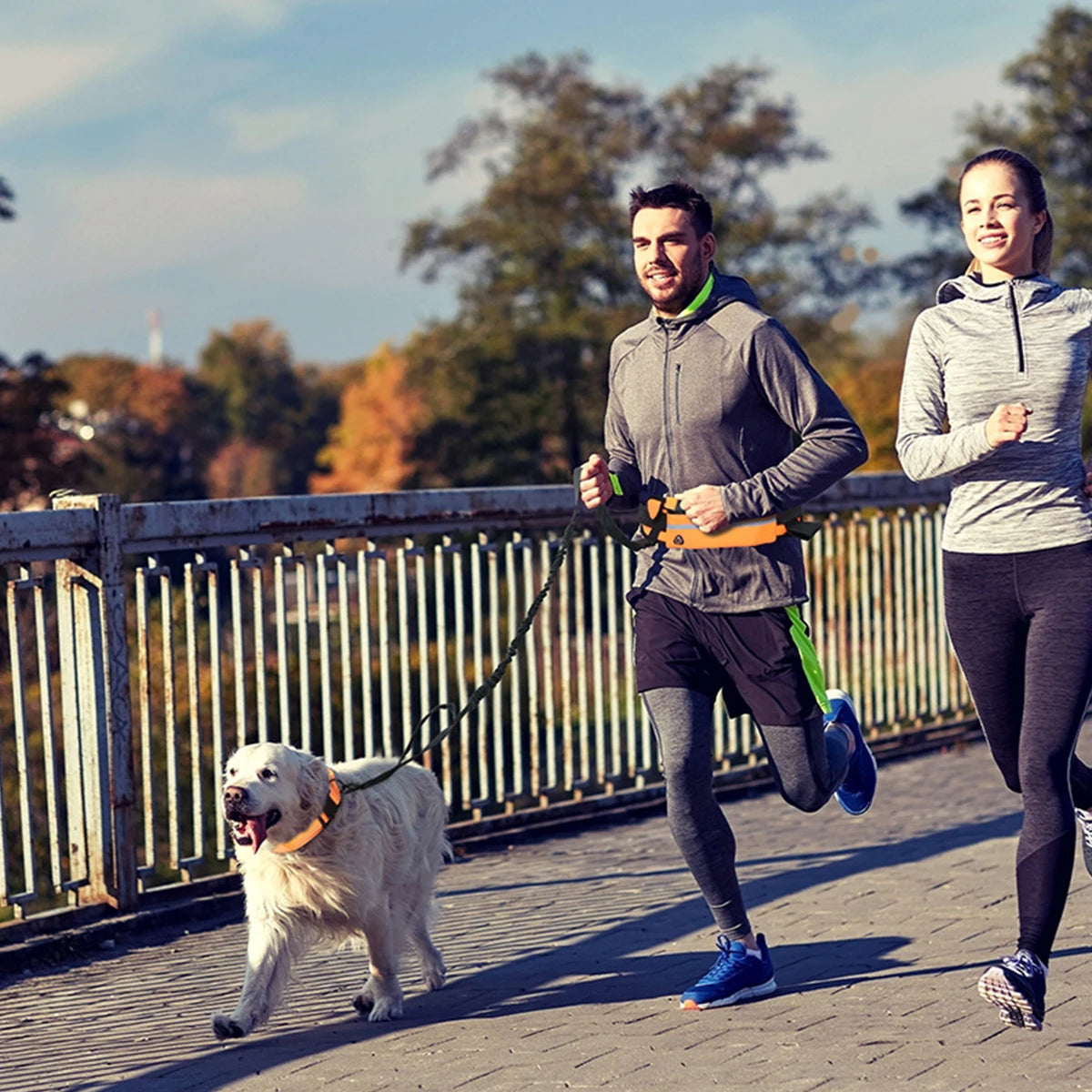 75Inch, Hands Free, Reflective Dog Leash With Waist Pack.