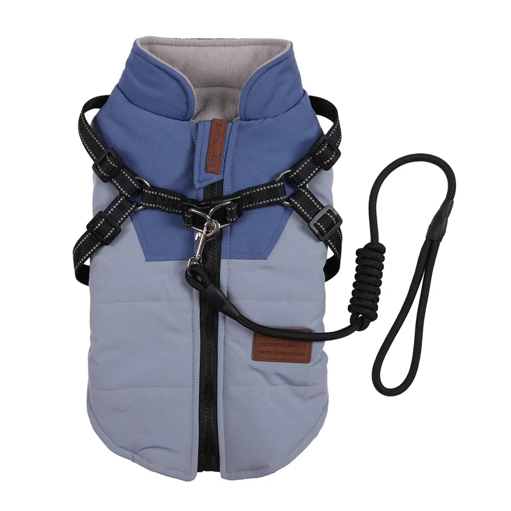 Winter Pet/Dog Jacket With Harness