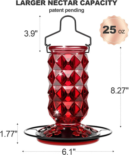 Glass Hummingbird Feeder, 25 Ounce with Perch