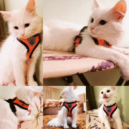 Cat, Small Puppy, Harness Vest & Lead