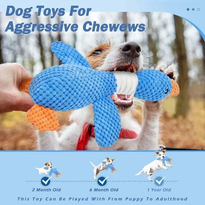 Dog Squeak Toys for Moderately Aggressive Chewers.