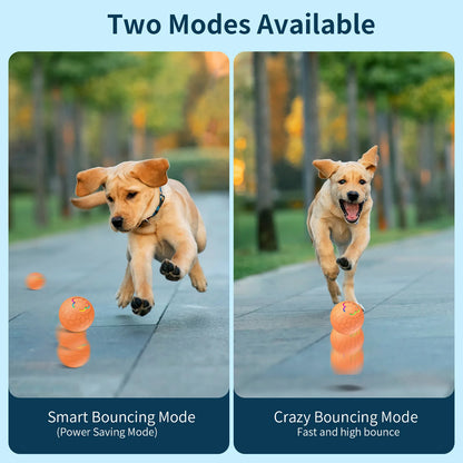 Smart, Dog And Pet Ball Toy, Intelligent and Rechargeable.