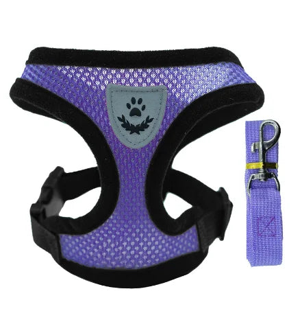 Cat, Small Puppy, Harness Vest & Lead