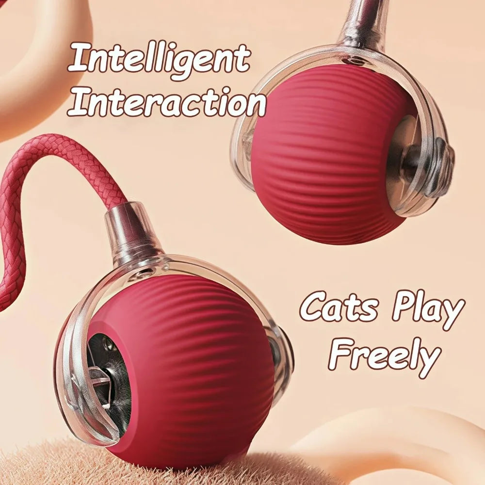 Cat Interactive Rolling Ball Toy, Rechargeable