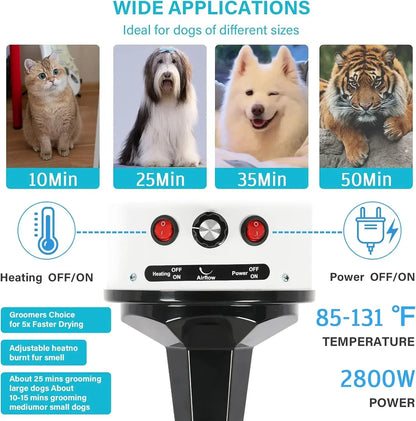 2800W Pet Hair Dryer, Silent, Fast Drying