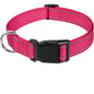 Dog Collar, Reflective, Many Color Varieties