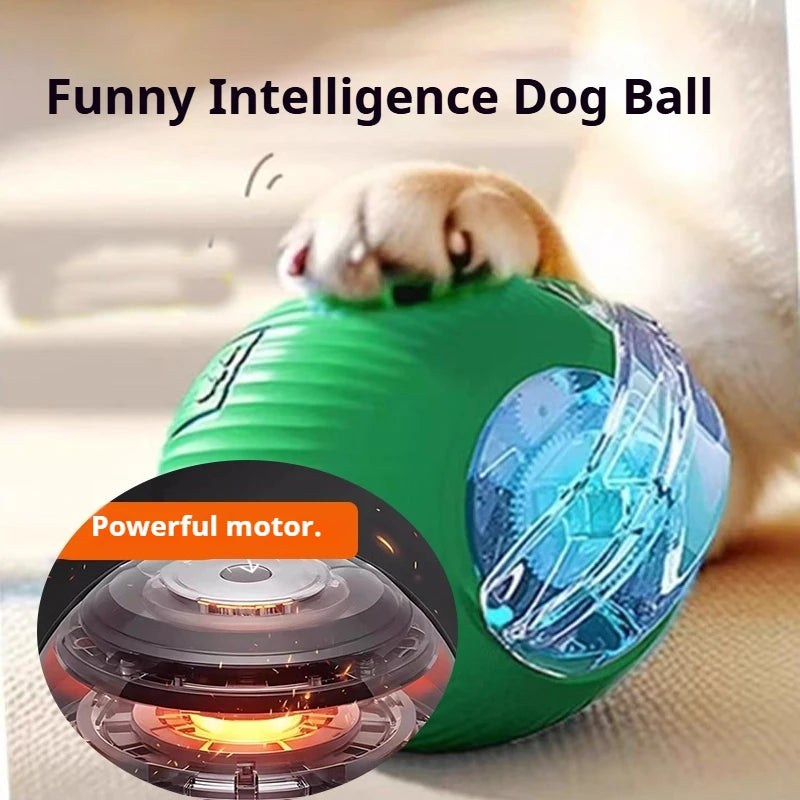 Interactive, Rechargeable, Ball Toy For Dogs & Cats