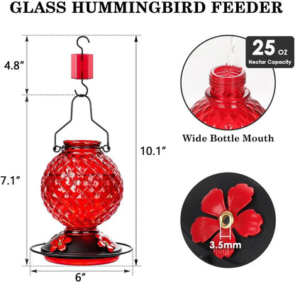 Hummingbird Feeder for Outdoors, 25 OZ Glass, Leak Proof.
