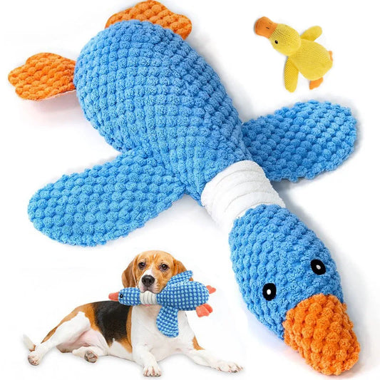 Dog Squeak Toys for Moderately Aggressive Chewers.