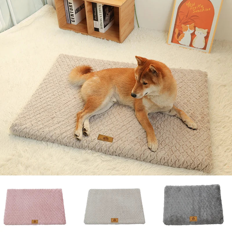 Foam Pet Pad-Bed With Washable Cover