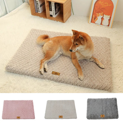 Foam Pet Pad-Bed With Washable Cover