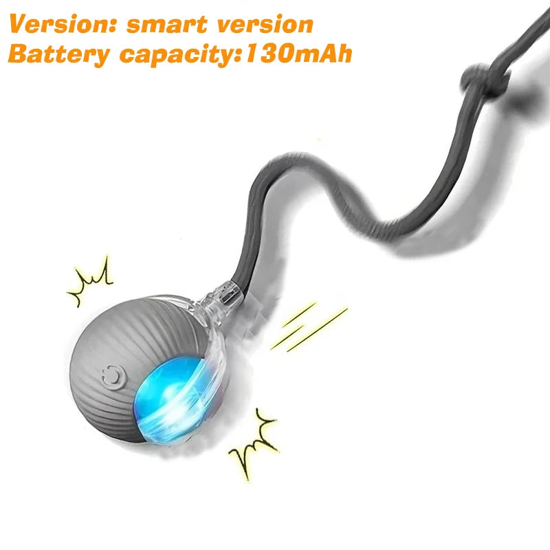 Interactive, Rechargeable, Ball Toy For Dogs & Cats