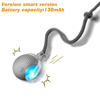Interactive, Rechargeable, Ball Toy For Dogs & Cats