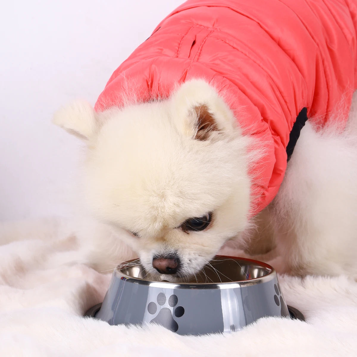 Stainless-Steel Pet Bowl For Food, Water, etc.