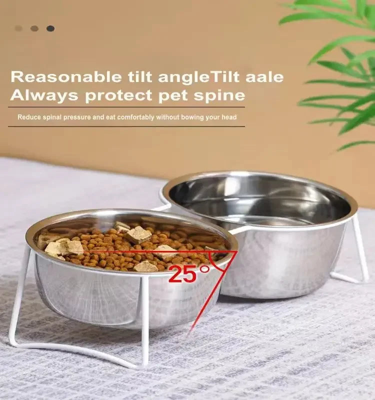 Cat and Dog Elevated Food And Water Bowls.