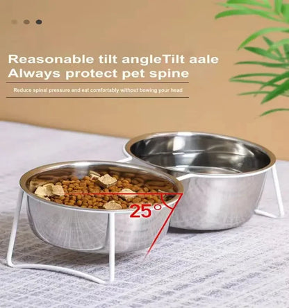 Cat and Dog Elevated Food And Water Bowls.