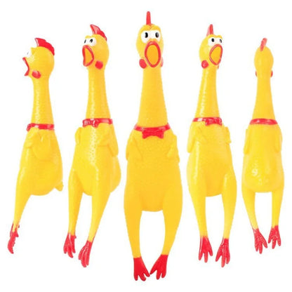 Squeaky, Screaming, Rubber Chicken Pet Toy
