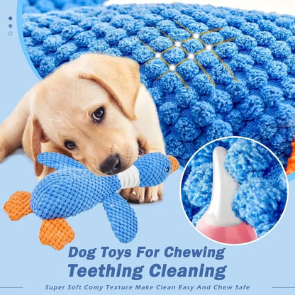 Dog Squeak Toys for Moderately Aggressive Chewers.
