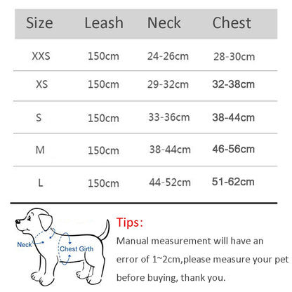 Harness & Leash Set For Small Dogs