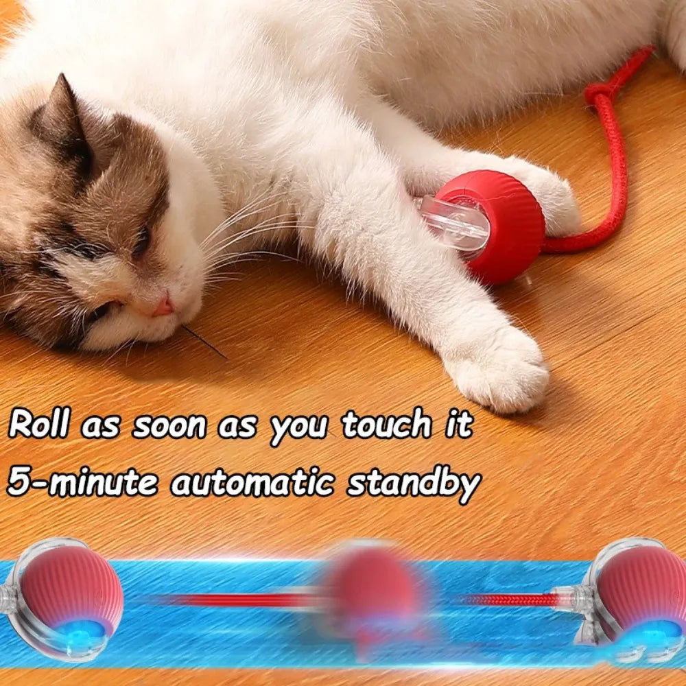 Cat Interactive Rolling Ball Toy, Rechargeable