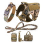 Large Dog Harness. Optional Collar & Leash