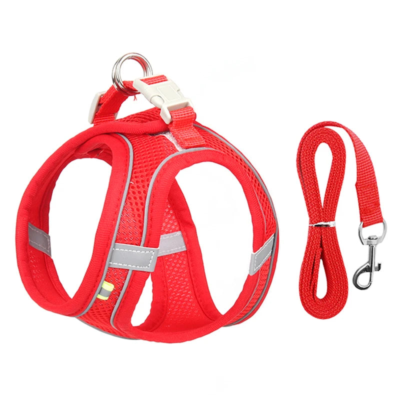 Harness & Leash Set For Small Dogs