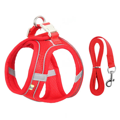 Harness & Leash Set For Small Dogs