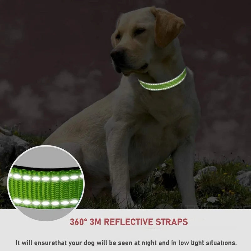 Dog Collar, Reflective, Many Color Varieties