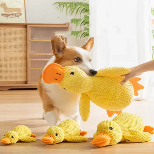 Dog Yellow Duck Toy