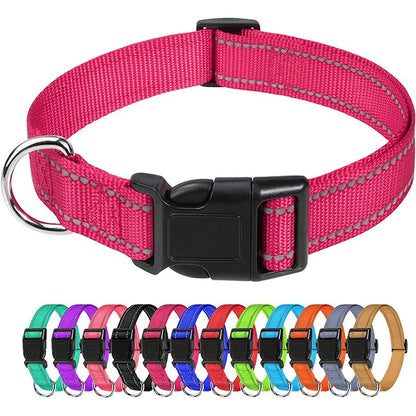 Dog Collar, Reflective, Many Color Varieties