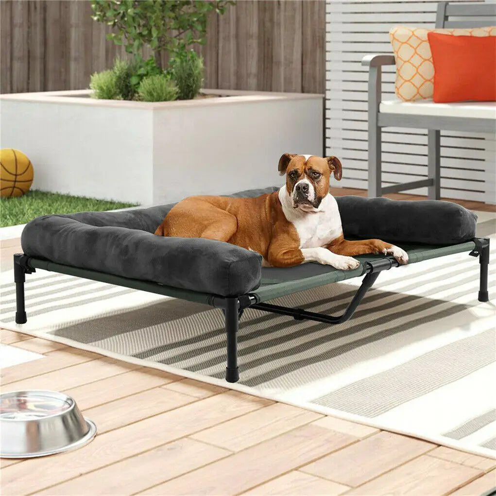 Elevated Bed for Dogs and Cats With Detachable Plush Bolster Cooling  Summer L XL 2XL