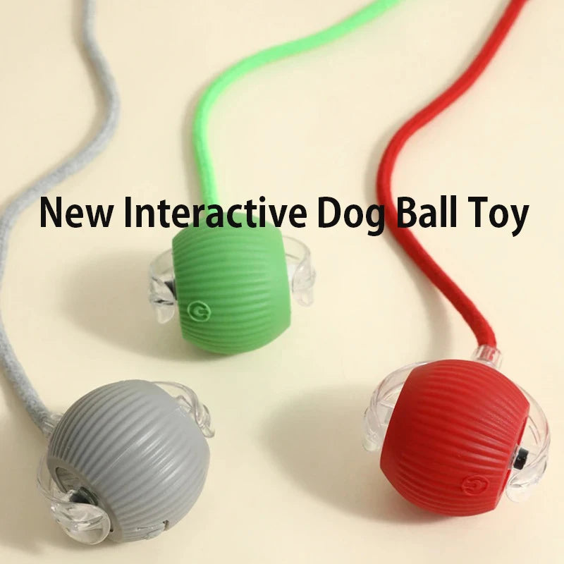 Interactive, Rechargeable, Ball Toy For Dogs & Cats