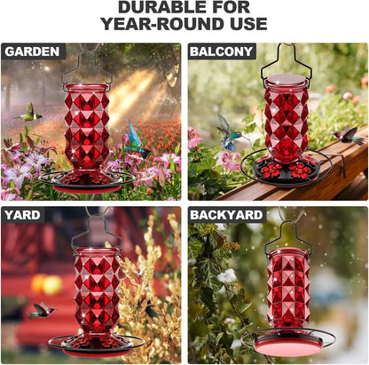 Glass Hummingbird Feeder, 25 Ounce with Perch