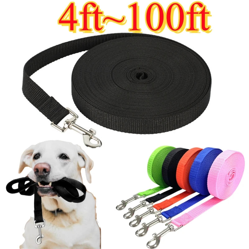 4ft-100ft Nylon Dog Leash.
